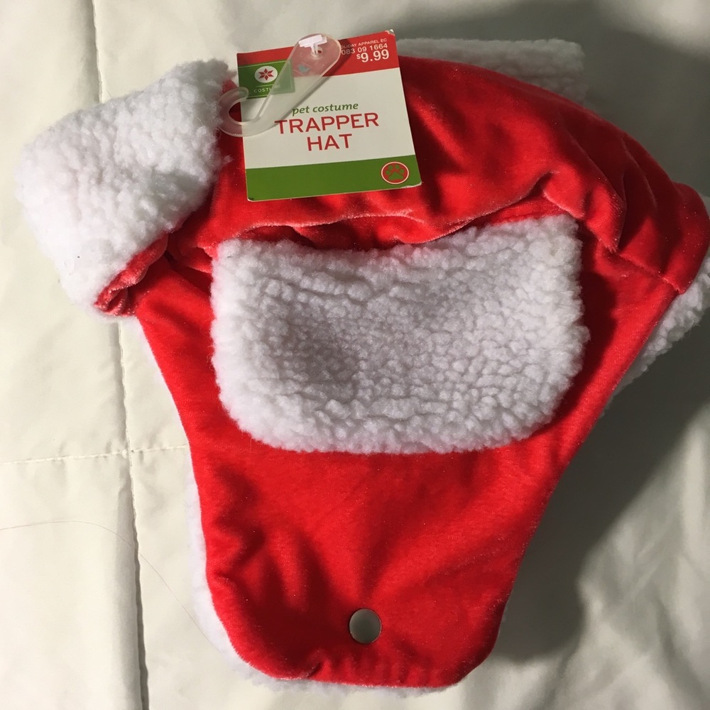 Dog Christmas Hat